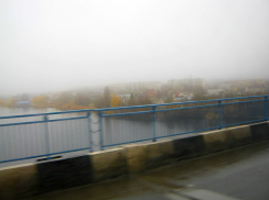 «В Камышине на 3-м городке с утра 24 ноября воняет жженой шерстью»,- камышанка