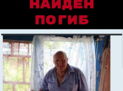 Пенсионер, тело которого нашли на кладбище в Камышине, умер естественной смертью.