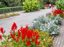 Небо над Камышином 19 октября затянут облака, а предсказанный на сегодня дождь синоптики «перенесли» на завтра