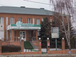 Какой «айсберг» движется на КПК «Честь» в Камышине, и почему пайщиков пытаются грубо «охладить» информацией-вбросом  на тему «все пропало»