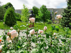 Администрация Камышина ищет на работу аналитика-прогнозиста через федеральный сайт 