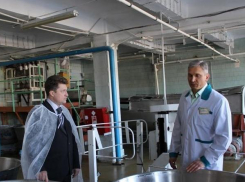 Ростехнадзор на хлебокомбинате Камышина: промышленная безопасность не выдерживает никакой критики