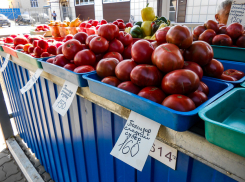 В Камышине цены на помидоры «обезумели»