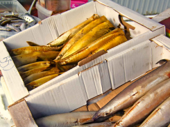 В Камышине купить копченую рыбку стало дешевле, а помыть авто дороже