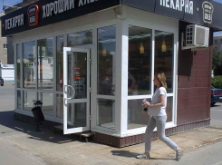 Волгоградский фермер рассказал об экстренном режиме «затягивания поясов» из-за роста цен на продукты 