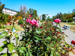 Лето не хочет уходить из Камышина: погодная повестка на 21 сентября