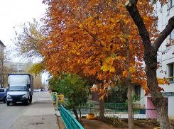 В Камышине ноябрь продолжит баловать горожан теплом, но дождь вероятен