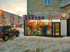 Погодные «качели» февраля: в четверг в Камышине дождь и ветер, в выходные - снег и ветер