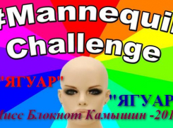 «Мисс блокнот Камышин -2017» и «Манекен челлендж» в магазине «Ягуар»