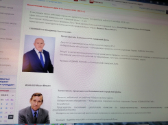 Не понял, что за «винегрет» из названия новой думы и старых депутатов «нарубали» на сайте Камышинской городской думы? - камышанин