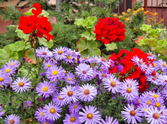 Потепление, а потом снег спрогнозировали синоптики камышанам на наступившей неделе