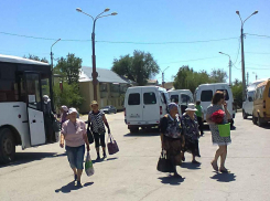 Пенсионеры в Волгоградской области активнее всех в ЮФО ищут работу
