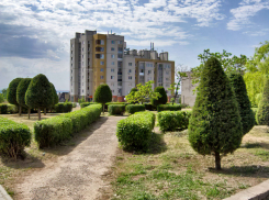 Ведь можно, оказывается, постричь кустарники красиво - почему по всему Камышину так не сделать? - камышанка