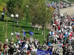 В Камышине врачи-бюджетники зарабатывают больше всех коллег в области, то же можно сказать о среднем медперсонале и соцработниках