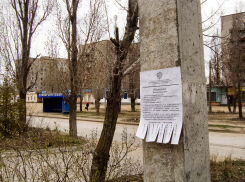 Расклейщики стихийных объявлений в Камышине спокойно оставляют на виду свои координаты, потому что их никто не штрафует, - камышанка