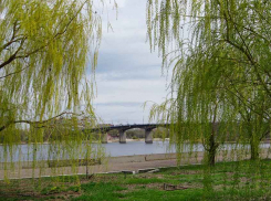 Неожиданно 12 новых случаев заражения коронавирусом «обрушилось» 11 мая на Камышин