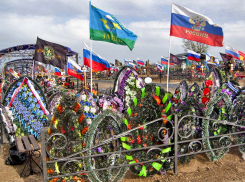 В День государственного флага РФ завтра, 22 августа, в Камышине на участке воинских захоронений погибших в СВО героев пройдет торжественная церемония