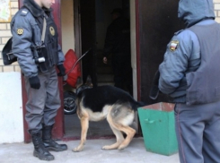  За шутку про бомбу в жилом доме, житель Камышинского района ответил в суде 