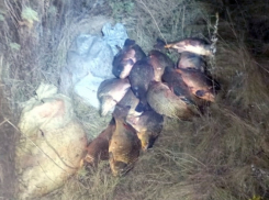 Молодой рыбак поймал на Торгуне 20 рыбин и теперь за них может пойти в тюрьму