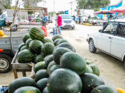 В Камышине арбузы не сильно подорожали с лета