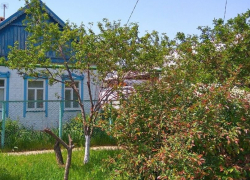 В селе Терновка Камышинского района муж переломал жене ребра