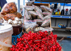 В Камышине днем ноль сегодня, а назавтра уже крепкий мороз: погодная повестка для камышан 23-34 декабря