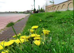 Дождь и северный ветер резко "остудили" Камышин: погодная повестка на 27 апреля