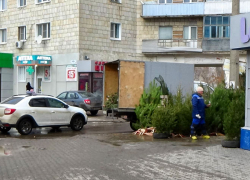 В Камышине продавцы елок сбросили цену на новогодний товар на 100 рублей за метр