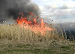 Под Камышином сухой камыш горит на десятках гектаров