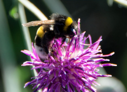 Переменная облачность и геомагнитные всплески: погода в Камышине 28 июня