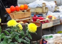 На рынки Волгоградской области хлынули 35 тонн азербайджанской хурмы и гранатов