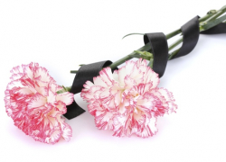 Камышанин Алексей Лешко погиб на линии боевого соприкосновения