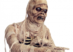 Мумия из подвала в поселке Мичуринский Камышинского района оказалась мертвым убийцей