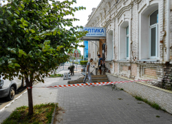 "Додумались тоже - к молодой липе сигнальную ленту привязывать!" - камышанка