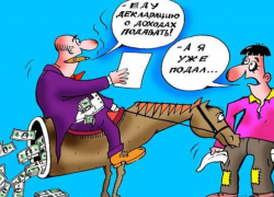 Как жены депутатов Камышинской городской думы "подкузьмили" своим вторым половинам в декларациях о доходах