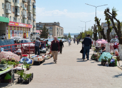 В Камышине проверяющие нагрянули на стихийный рынок на улице Ленина 