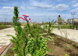 Администрация Камышина предупредила, когда в городских парках будут травить жуков