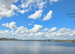 В Волгоградской области началась акция "Вода России", но Камышинка пока "стоит в очереди" на расчистку берегов