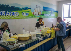 Большинство жителей Волгоградской области пока не готовы «затянуть пояса», потому что ужиматься уже некуда