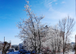 Легкий снег и слабый мороз: погода в Камышине 24 февраля