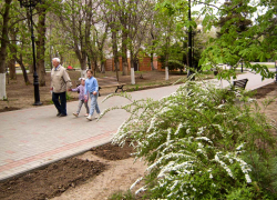 Озвучен график выплаты пенсий на майских праздниках в Волгоградской области, в том числе в Камышине