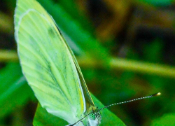 Солнечно, но геомагнитный фон "подводит": погодная повестка для камышан на 13 августа