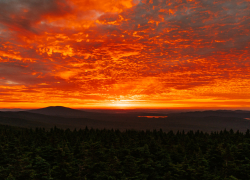 В Камышине в районе железнодорожного вокзала обнаружен труп мужчины