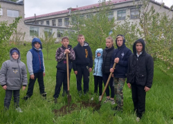Школьники из села Воднобуерачное Камышинского района заложили яблоневый "Сад Победы"