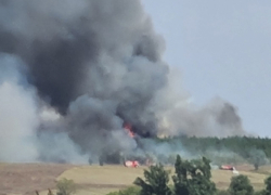 Под Камышином полыхает степь, горит сосновый лес у села Семеновка Камышинского района