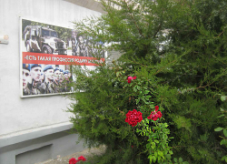 В Минобороны прокомментировали, чем поручат заниматься мобилизованным