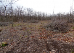 Под Камышином, у поста "13-й километр", обнаружен труп мужчины