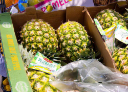 Камышанам, собирающимся похудеть, Роспотребнадзор предлагает налегать на ананасы
