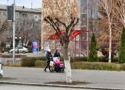 В Камышине еще немного подморозит к вечеру 3 декабря, снега не прогнозируется