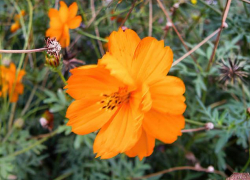 Ветер южных направлений принесет тепло в Камышин